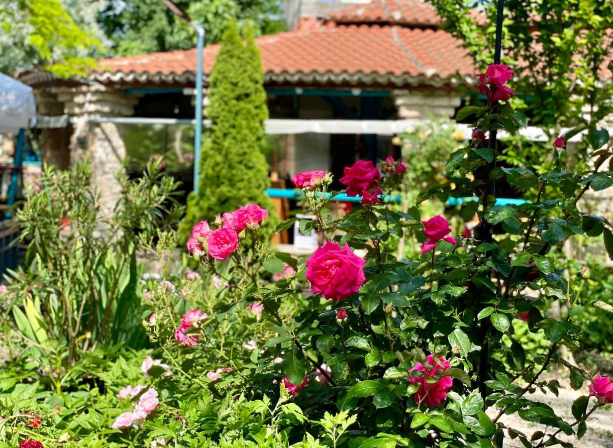 Vamabel House Bed & Breakfast Vama Veche Eksteriør bilde