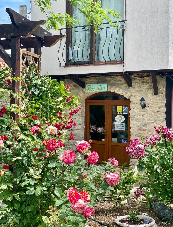 Vamabel House Bed & Breakfast Vama Veche Eksteriør bilde
