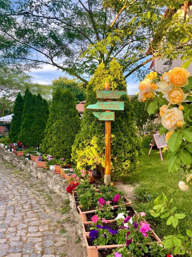 Vamabel House Bed & Breakfast Vama Veche Eksteriør bilde