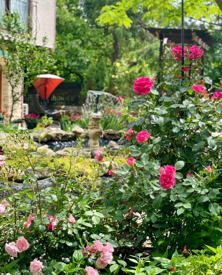 Vamabel House Bed & Breakfast Vama Veche Eksteriør bilde